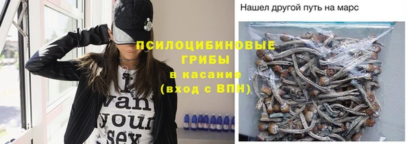 apvp Армянск