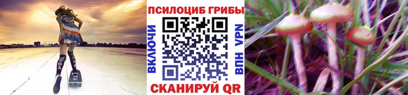 Псилоцибиновые грибы MAGIC MUSHROOMS  Углегорск 